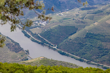 Vista da vila da Régua no Douro Portugal