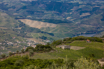 Vista da vila da Régua no Douro Portugal