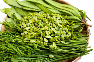 Leucaena leucocephala isolated on white background