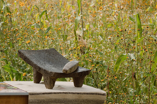 In Mexico, the metate is used to grind corn into a fine meal, connecting food and tradition
