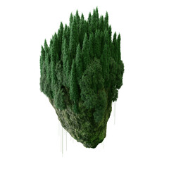 Avatar The Flying Island of the Pandora planet. Tropical floating jungle rock. © AlexMelas