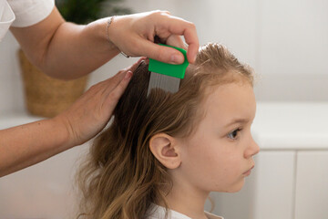 A woman helps to get rid of lice and parasites on the head of a little girl, combs her head with a special comb. Treatment of lice and nits - obrazy, fototapety, plakaty