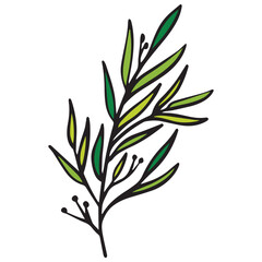 Obraz premium branch with leaves