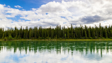 Obraz premium カナダ ユーコン準州 タキーニ川とタイガの森