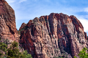 Fototapeta premium mountains in Zion National Park