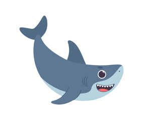 Pirate adventure shark concept