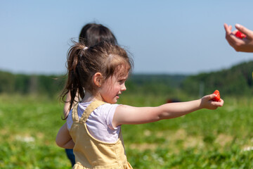 Little girl playing in the field with her mother on a sunny day