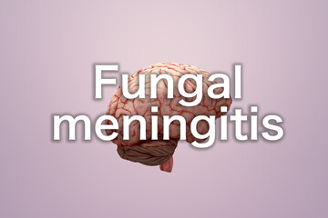 Background of fungal meningitis,Meningitis symptoms