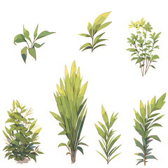 Fototapeta premium Plant texture anime style, Illustration