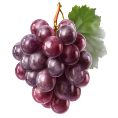 Fototapeta premium A bunch of grapes with a green leaf on a transparent background png isolated Generative Ai