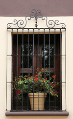 Fototapeta na wymiar Building with wooden window and potted plant on windowsill outdoors