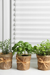 Different aromatic potted herbs on windowsill indoors. Space for text