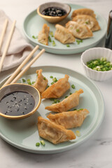 Delicious gyoza (asian dumplings) with soy sauce and green onions on white table