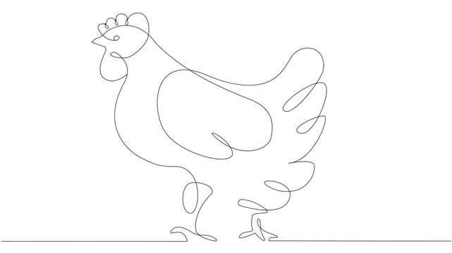 Chicken continious simple line concept