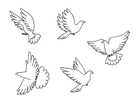 モノクローム手描きの小鳥、鳩のイラストセット
