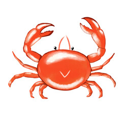 crab isolated on white background