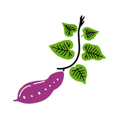 さつまいもと葉っぱのイラスト（カラー）