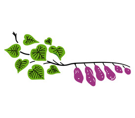 さつまいものつるのイラスト（カラー）