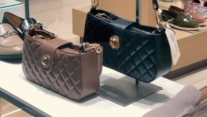 Women's brown and black handbags on the accessories store glass shelf