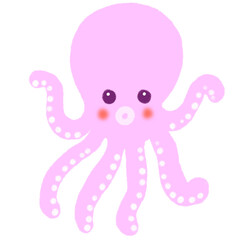 Squid