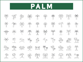 Simple Set of palm tree Related Vector Line Icons. Vector collection of summer, tree, beach, plant, tropical, nature, outdoor, greenery, evergreen, coconut and design elements symbols or logo element.