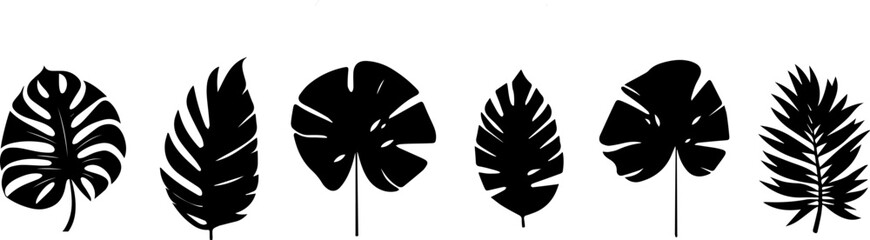 Set of tropical leaves.Collection of exotic palm leaves.Monstera leaf and banana leaves.Botanical plant collection.Leaf icon set.Jungle plant.