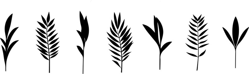 Set of tropical leaves.Collection of exotic palm leaves.Monstera leaf and banana leaves.Botanical plant collection.Leaf icon set.Jungle plant.Herbs.