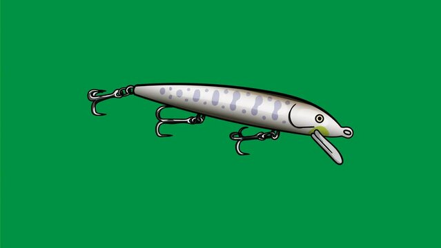 minnow baits fishing lure green screen. motion graphic. animation.