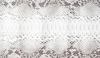 white snake skin texture with natural pattern, python leather surface background