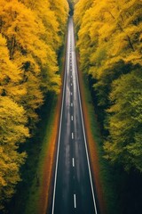  aerial shot top view autumn forest road way