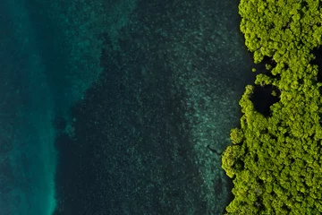 Fotobehang Slaapkamer Beautiful Mangrove island landscape and scenery during blue sky, sunrise and sunset from aerial view  © MohamadHudZaqwan