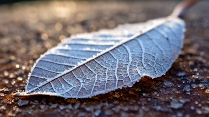 crystalline frost on a leaf, detailed and realistic, generative ai