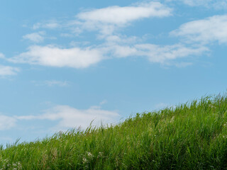Obraz na płótnie Canvas 堤防の新緑と青空の風景