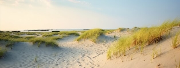 Panorama background of Sandy dune beach with some grass, created with Generative AI technology