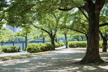 Fototapeta na wymiar 毛馬桜之宮公園の風景