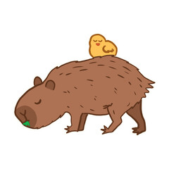 Capybara with bird.
