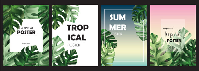 Set of Bright tropical backgrounds with jungle plants monstera. 