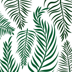 Fototapeta premium green leaves