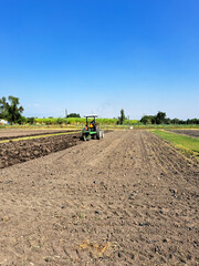 Agricultural tractor plows the land to cultivate, work the field and use it for the production of natural products