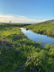 landscape with river