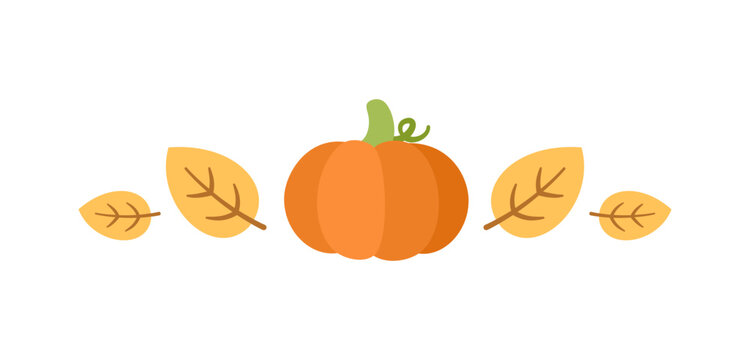 Autumn pumpkin divider for Halloween, Fall and Thanksgiving season. Vector isolated on white background.