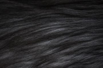 Persian cat fur texture background. 