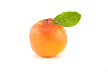 Apricot fruit isolated on white background