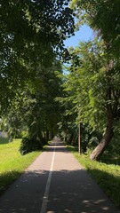 path in the park