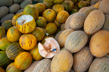 cut piece of the melon in market