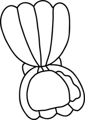 scallops hand draw