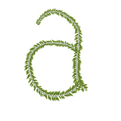 zeredao43 alphabet a