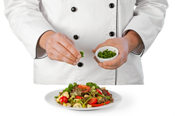 Chef garnishing a dish attractive cook