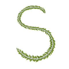 zeredao43 alphabet s 