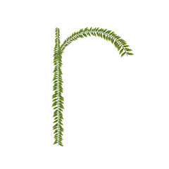 zeredao43 alphabet r